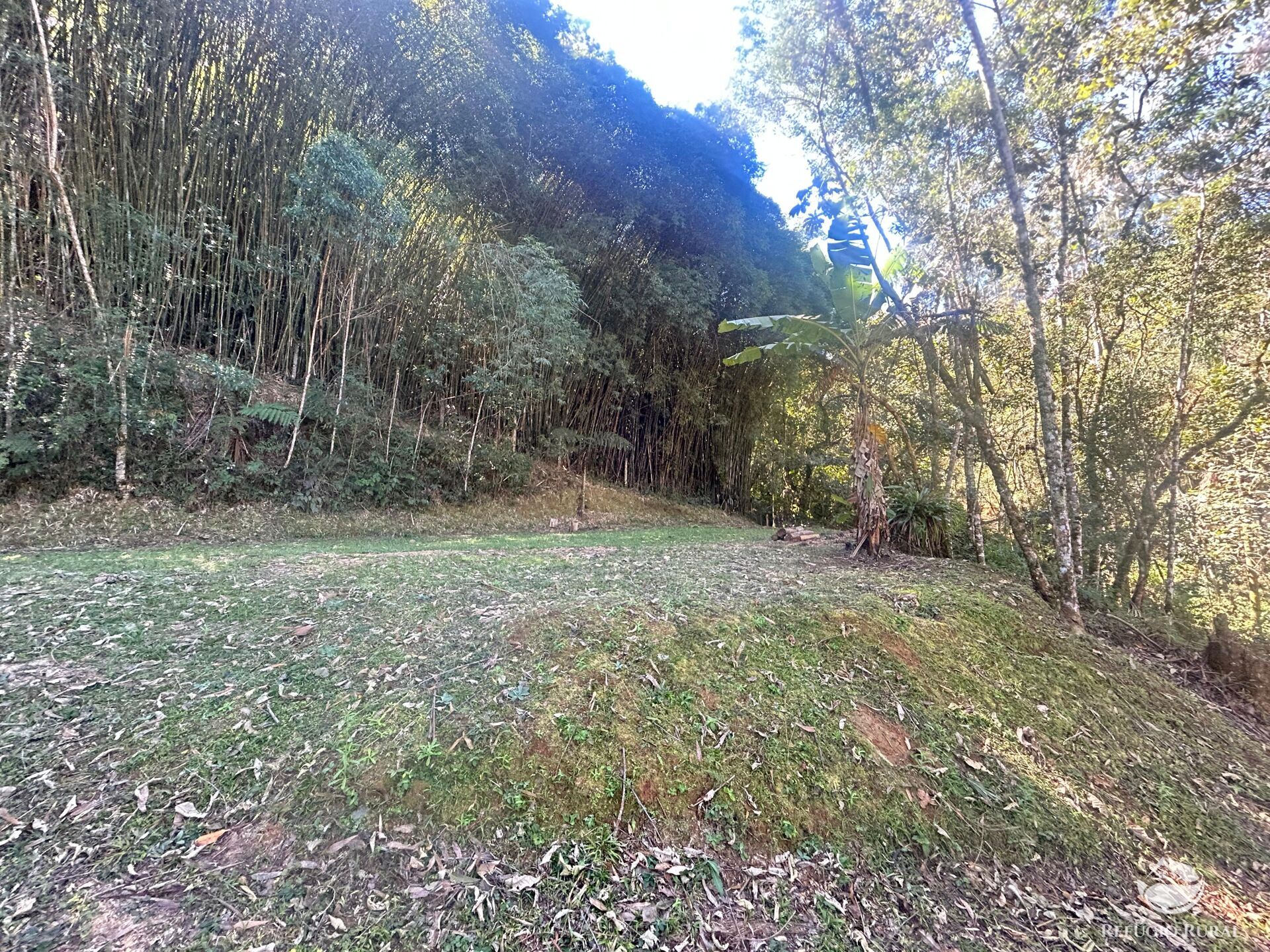 Sítio à venda com 9 quartos, 25000m² - Foto 8