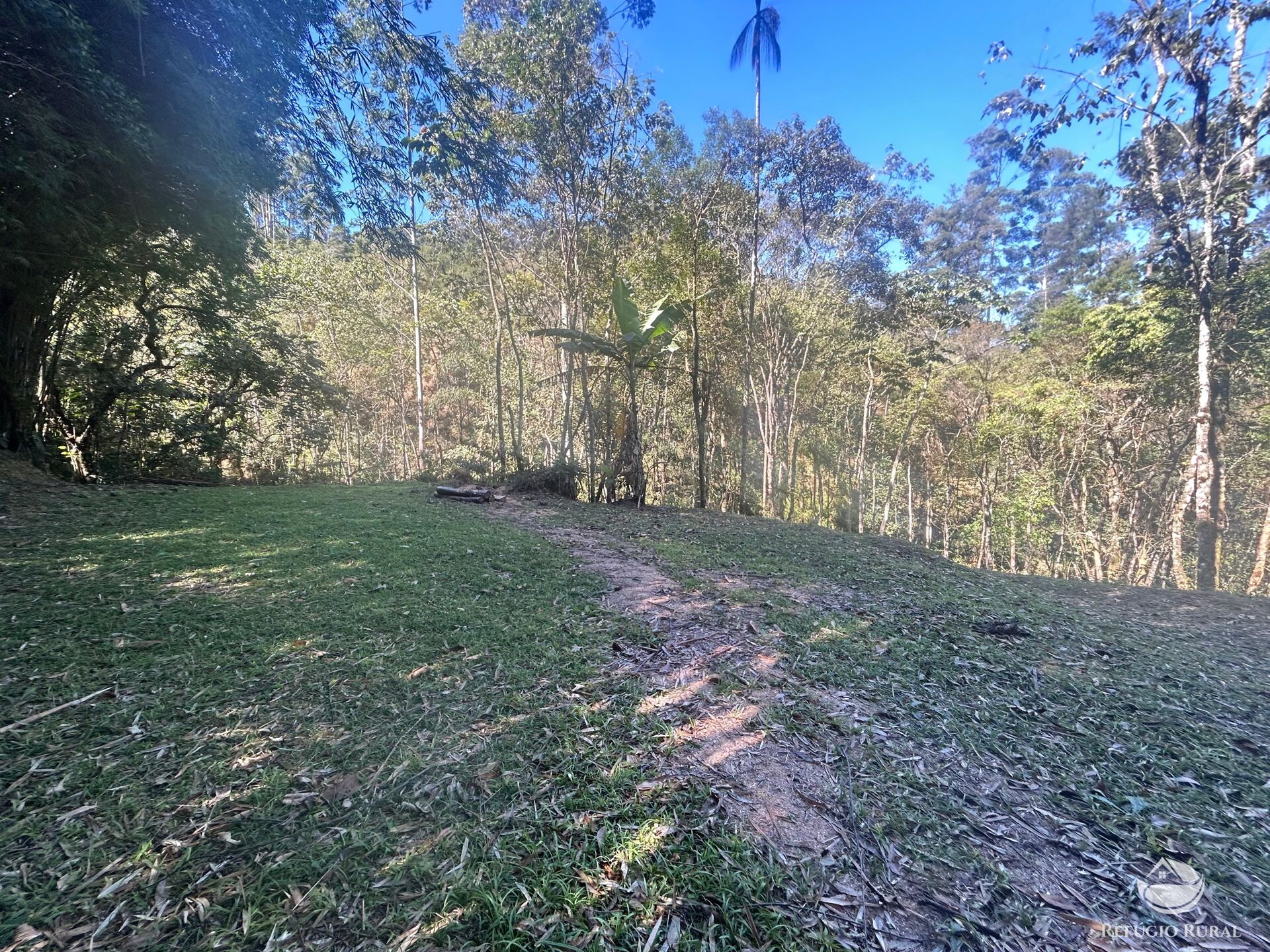 Sítio à venda com 9 quartos, 25000m² - Foto 7