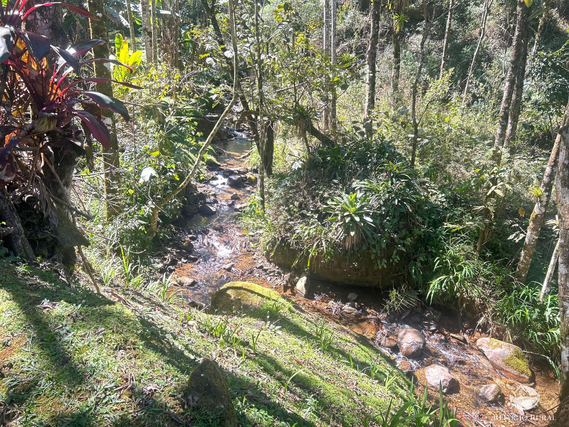Sítio à venda com 9 quartos, 25000m² - Foto 14