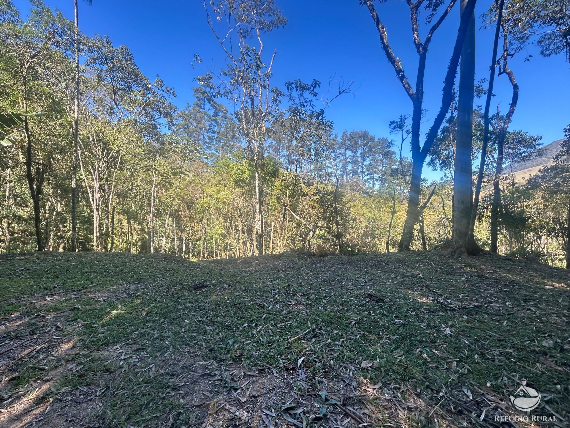 Sítio à venda com 9 quartos, 25000m² - Foto 6