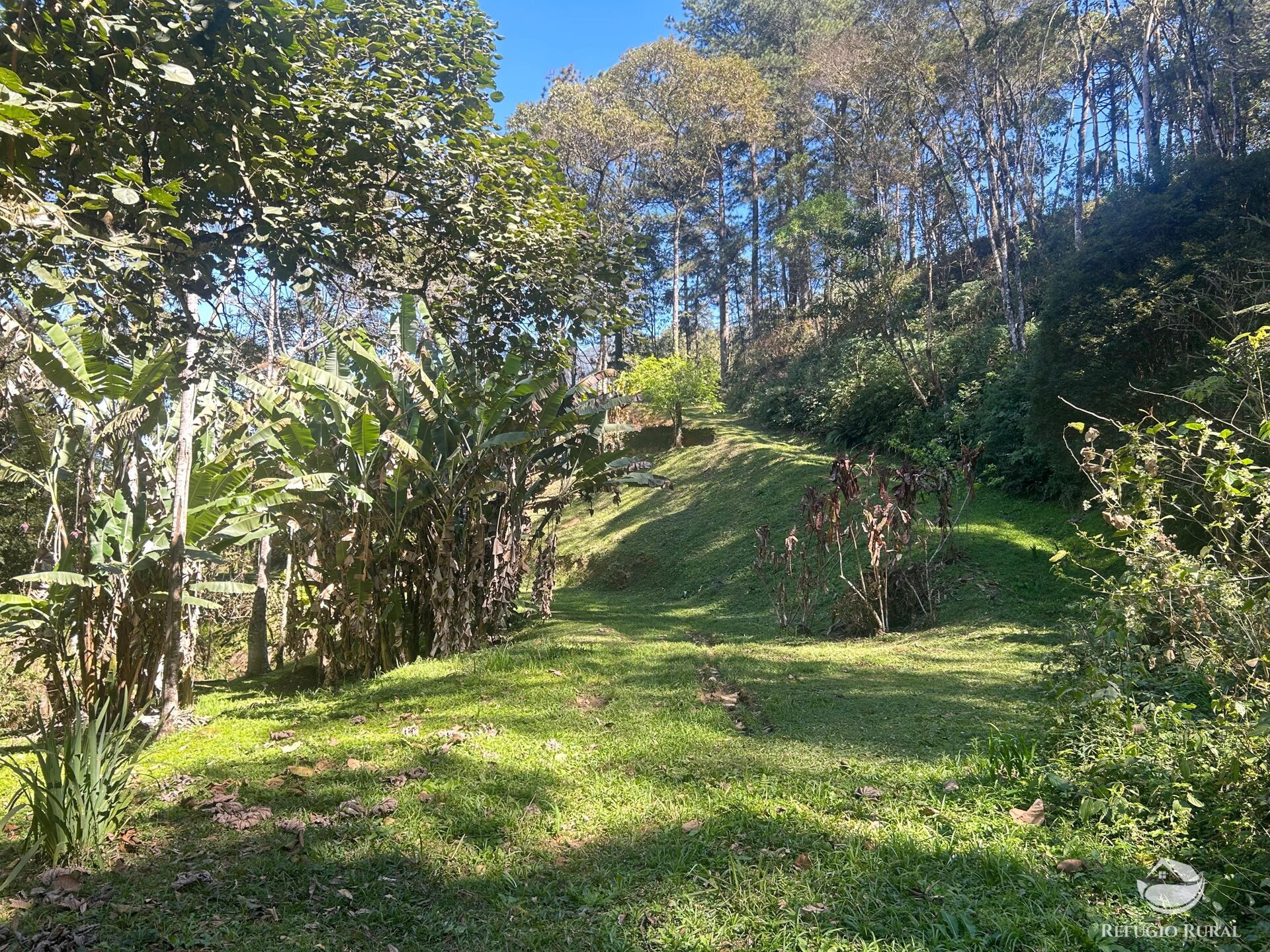 Sítio à venda com 9 quartos, 25000m² - Foto 13