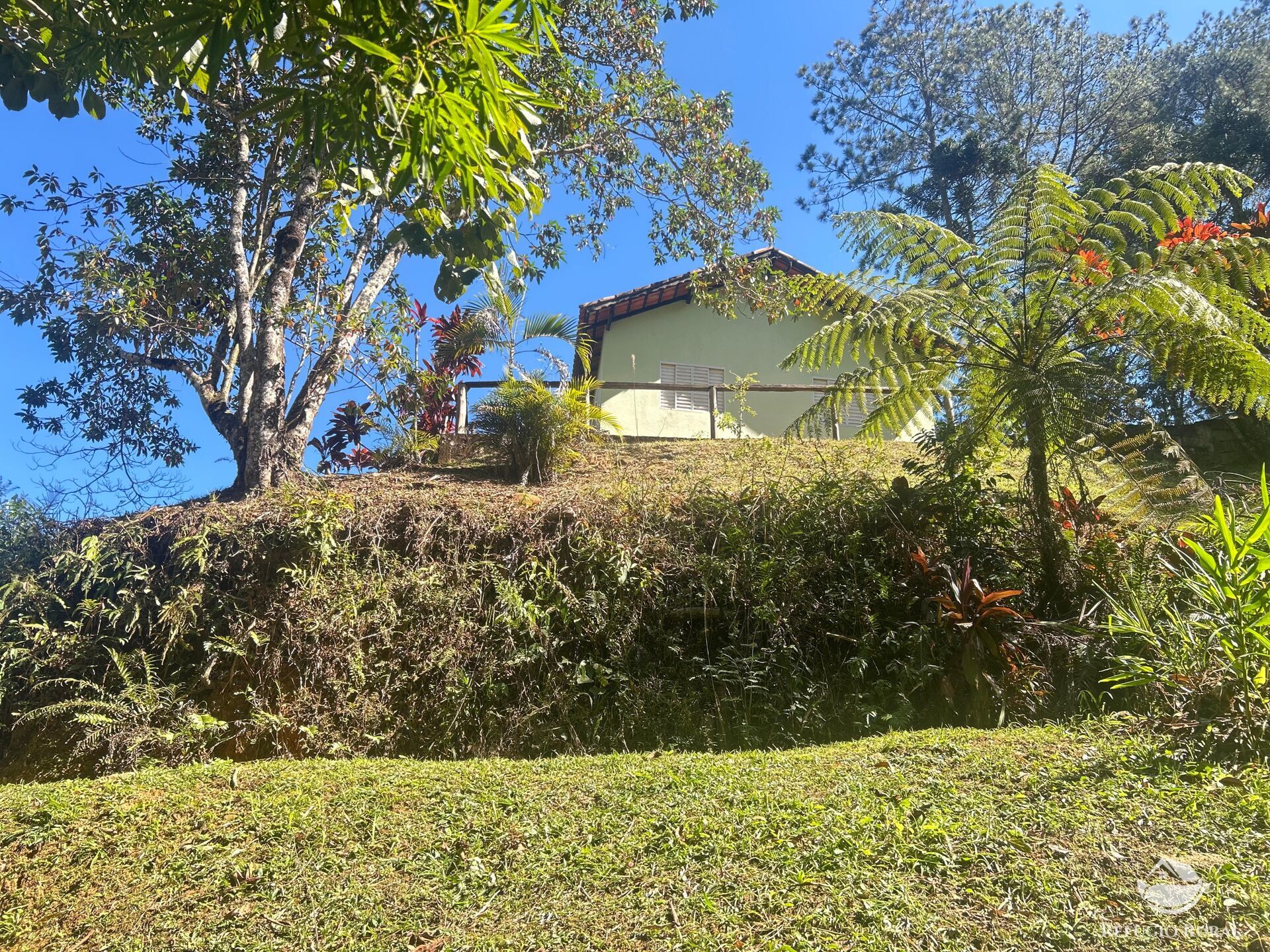Sítio à venda com 9 quartos, 25000m² - Foto 18