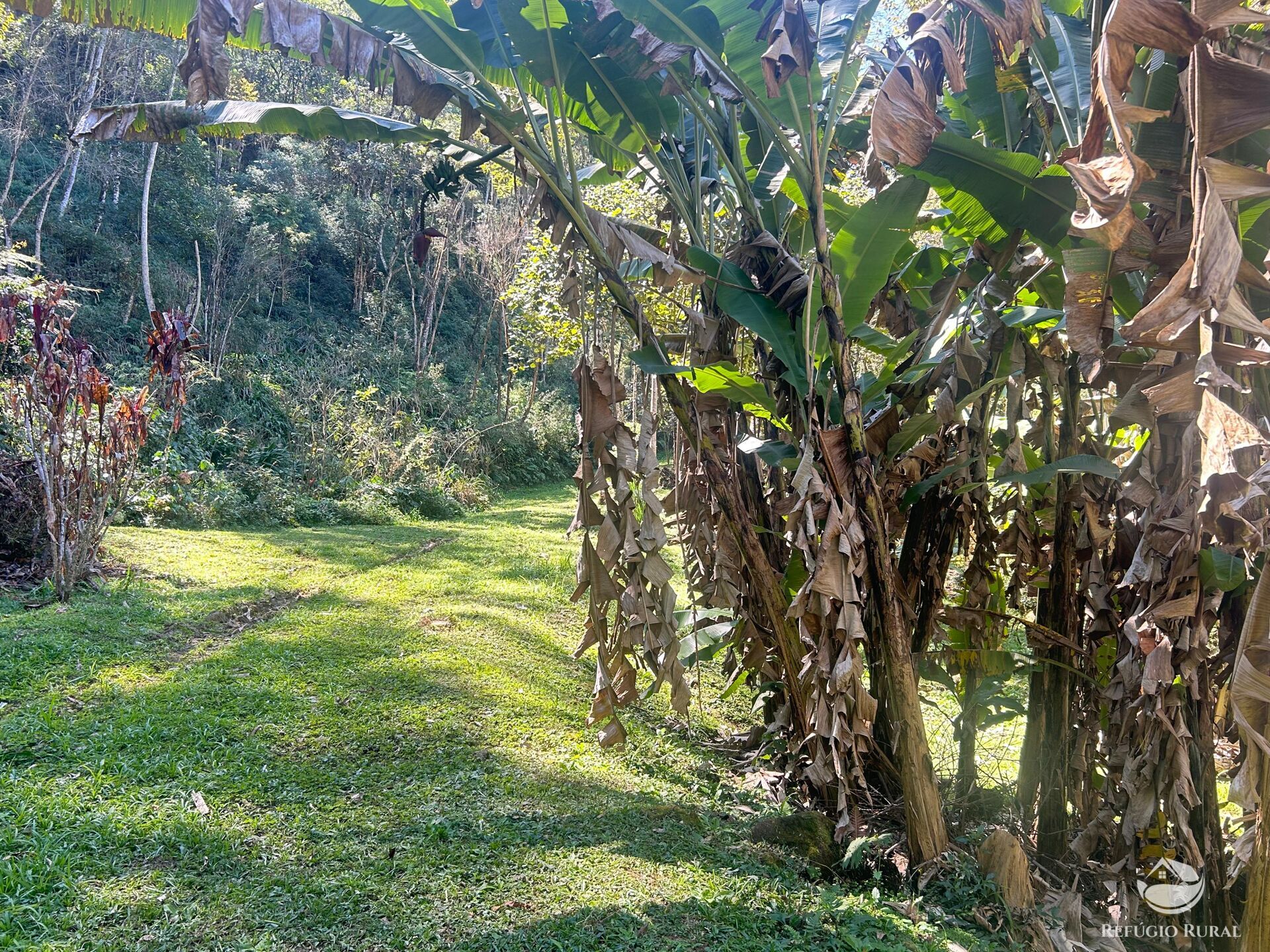Sítio à venda com 9 quartos, 25000m² - Foto 12