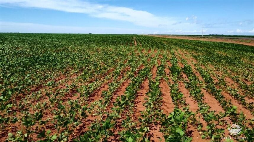 Fazenda à venda com 1 quarto, 12000000m² - Foto 1