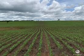 Fazenda à venda com 1 quarto, 12000000m² - Foto 3