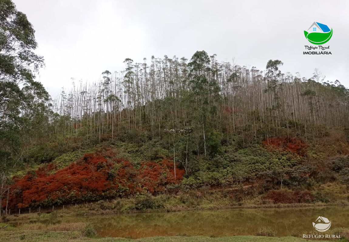 Fazenda à venda com 1 quarto, 2796500m² - Foto 26