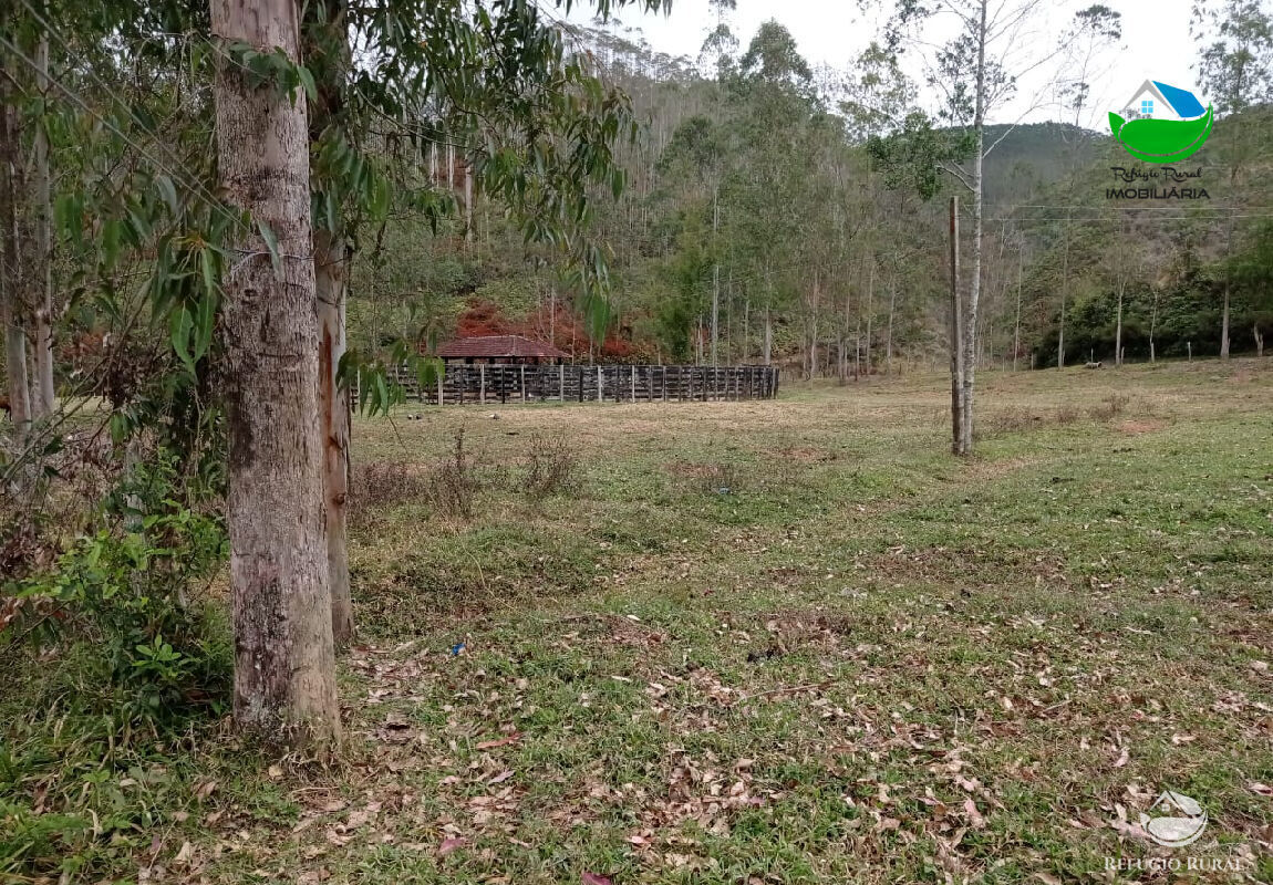 Fazenda à venda com 1 quarto, 2796500m² - Foto 36