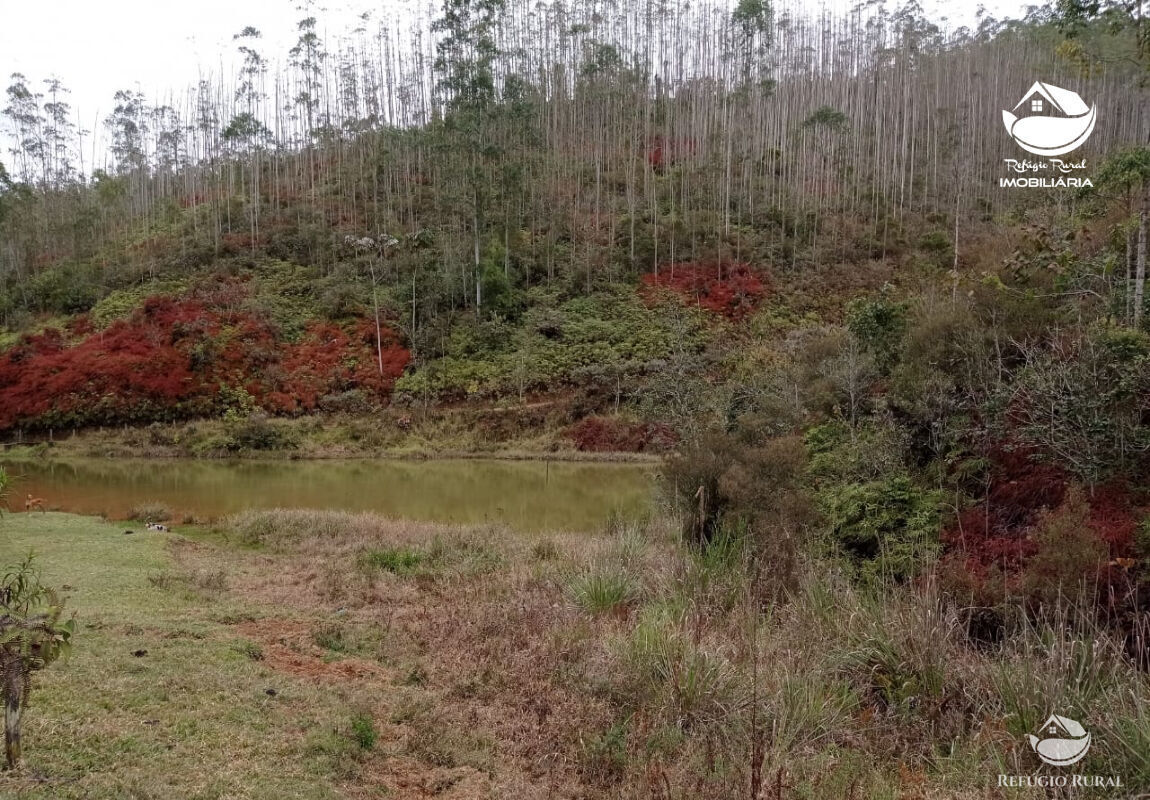 Fazenda à venda com 1 quarto, 2796500m² - Foto 38