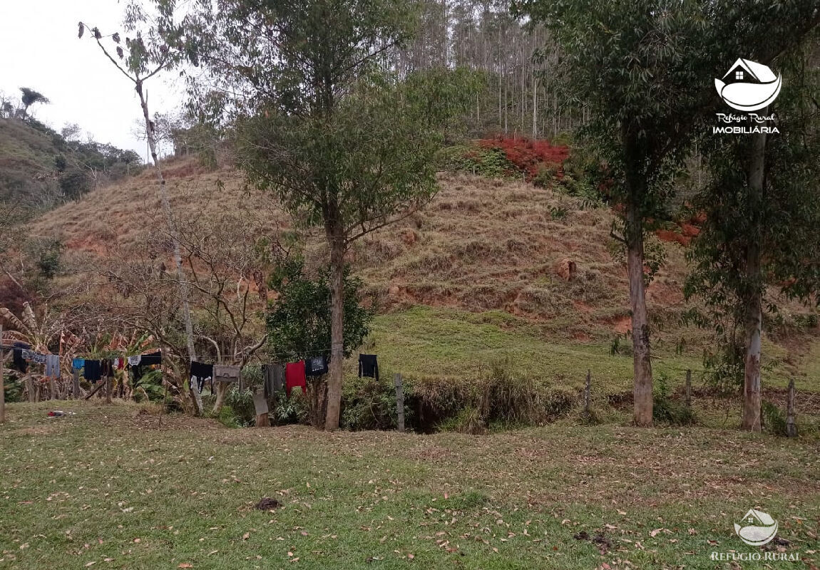 Fazenda à venda com 1 quarto, 2796500m² - Foto 32