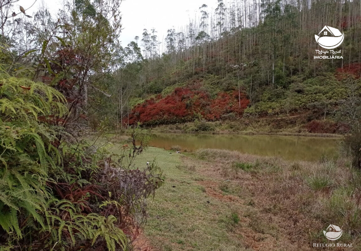 Fazenda à venda com 1 quarto, 2796500m² - Foto 45