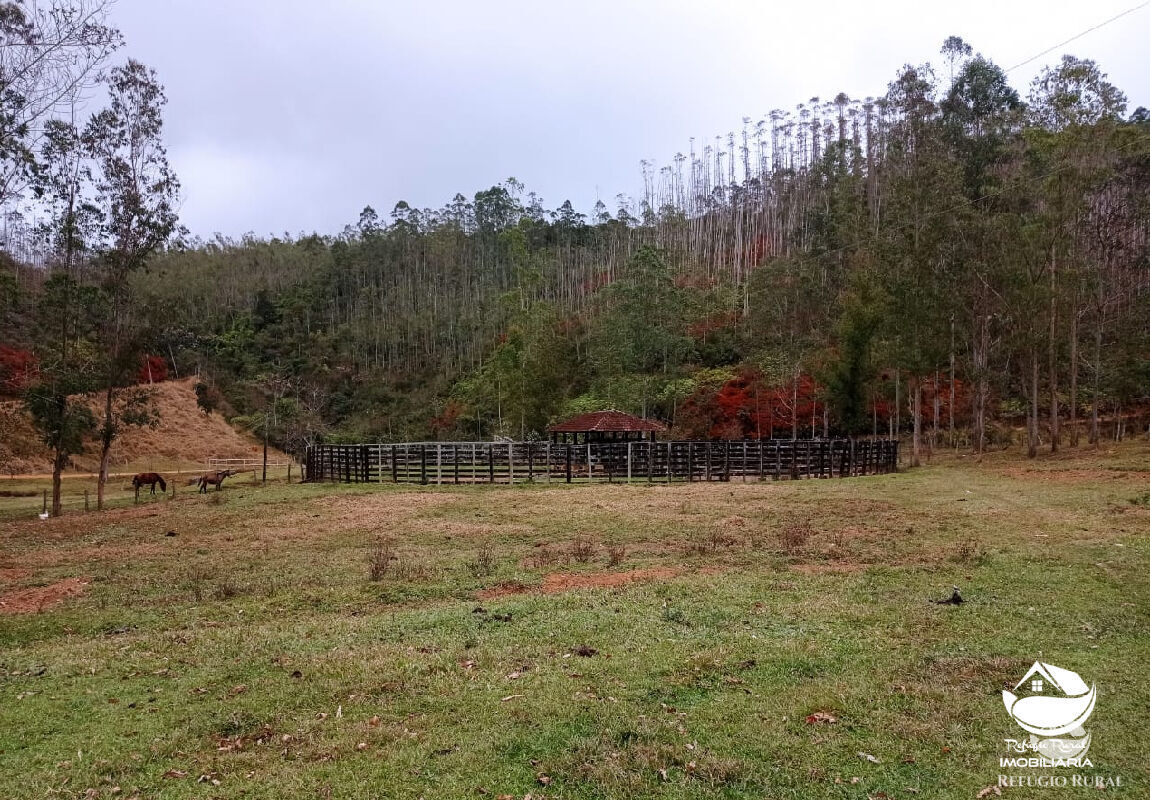 Fazenda à venda com 1 quarto, 2796500m² - Foto 5