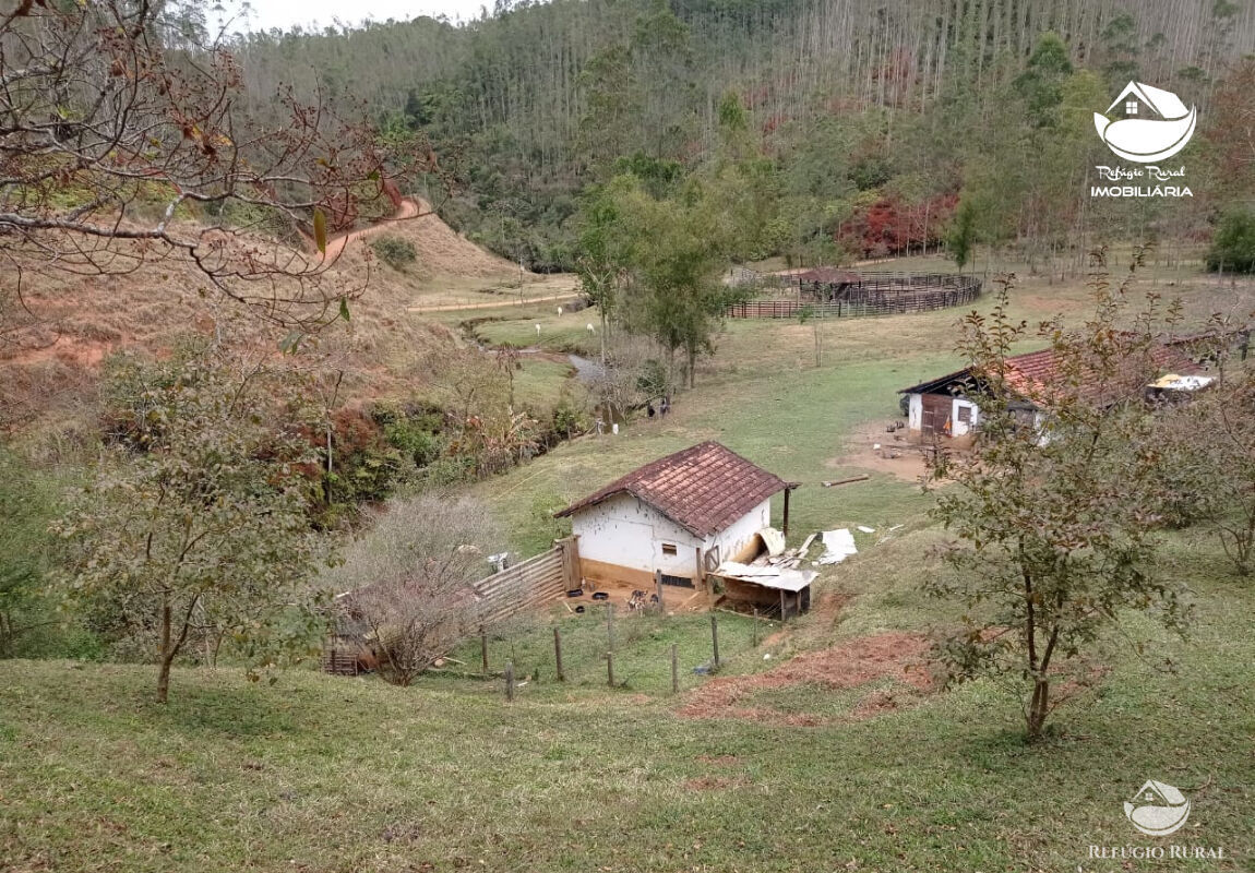 Fazenda à venda com 1 quarto, 2796500m² - Foto 3