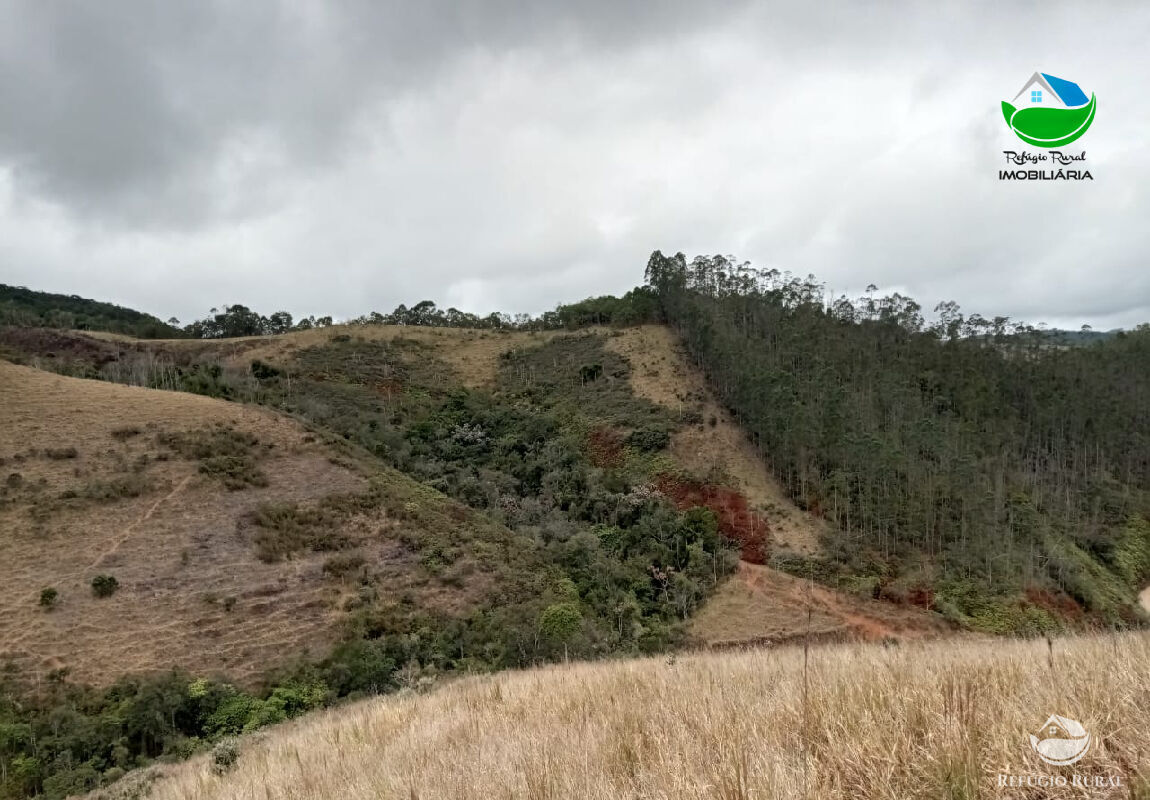 Fazenda à venda com 1 quarto, 2796500m² - Foto 25