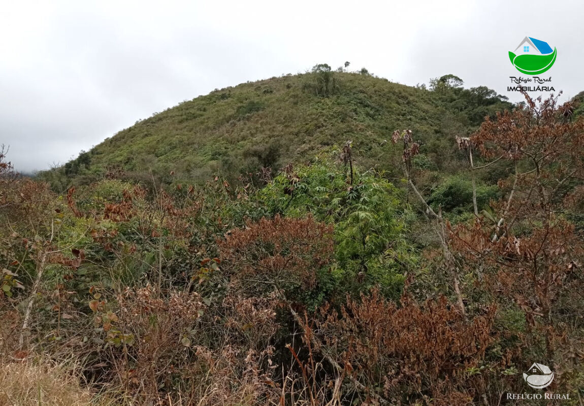 Fazenda à venda com 1 quarto, 2796500m² - Foto 39