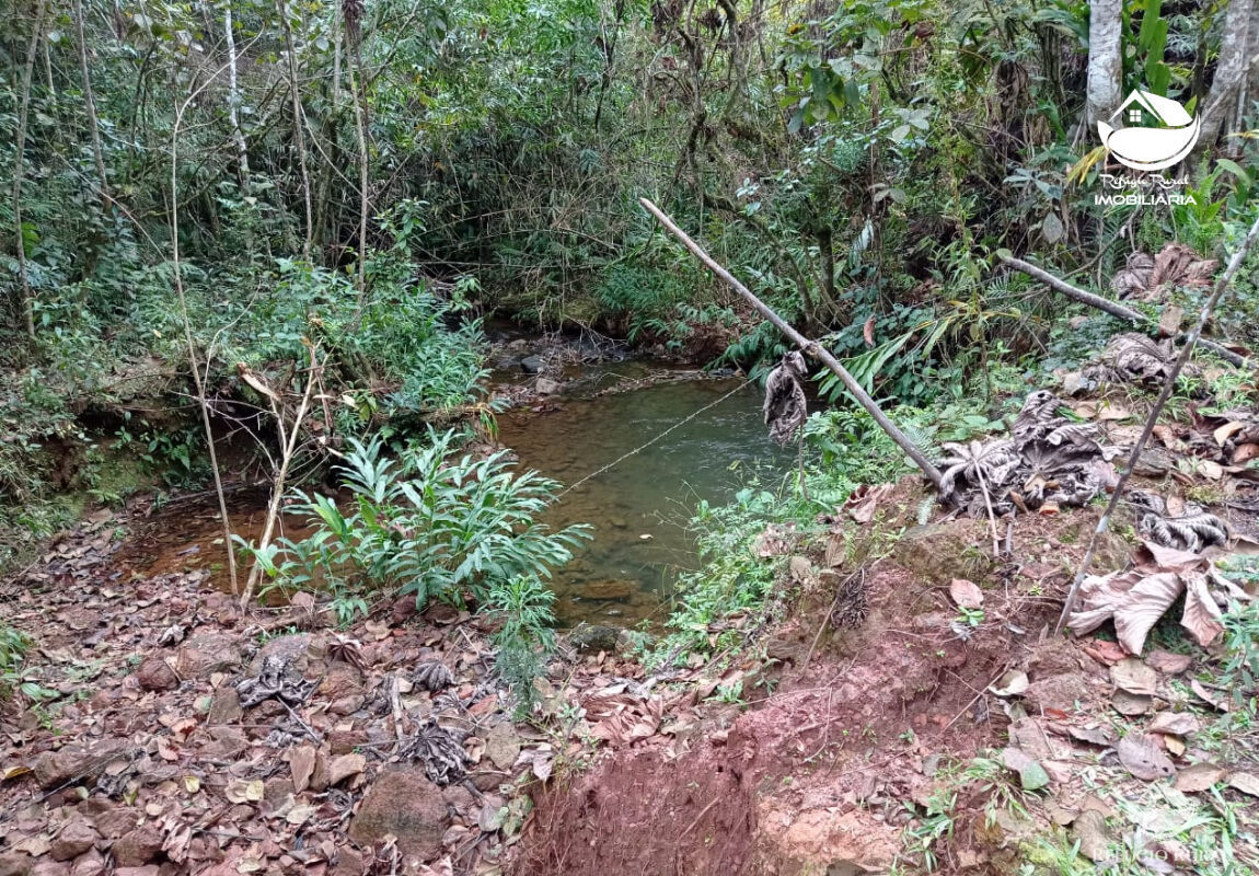 Fazenda à venda com 1 quarto, 2796500m² - Foto 17