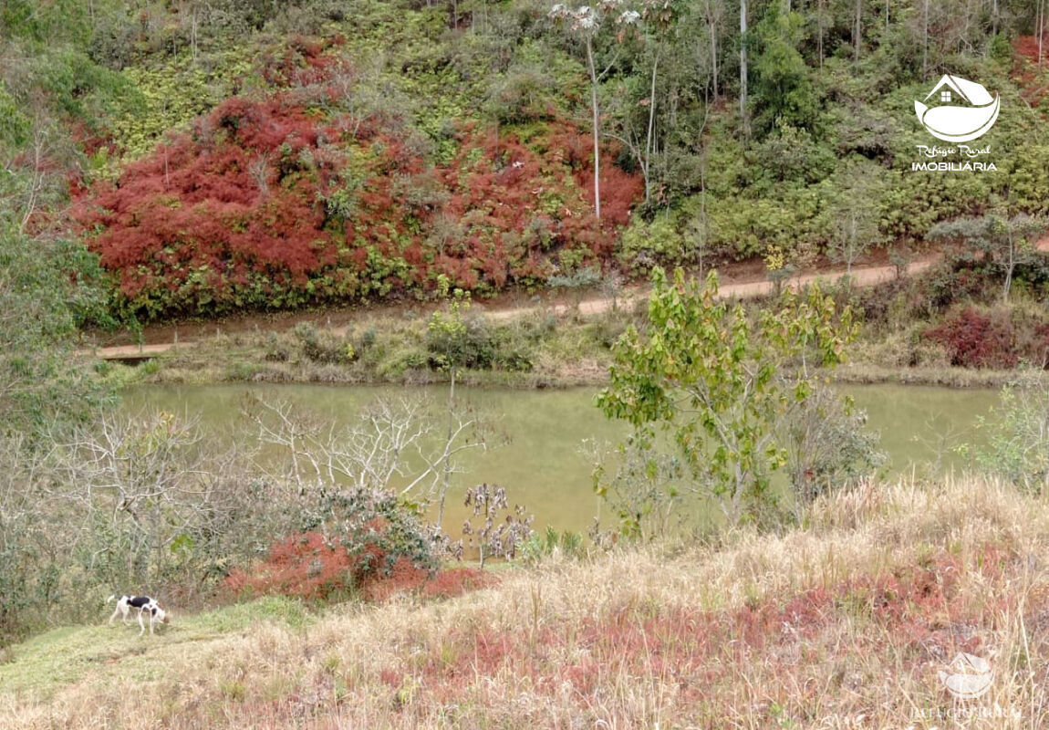 Fazenda à venda com 1 quarto, 2796500m² - Foto 22