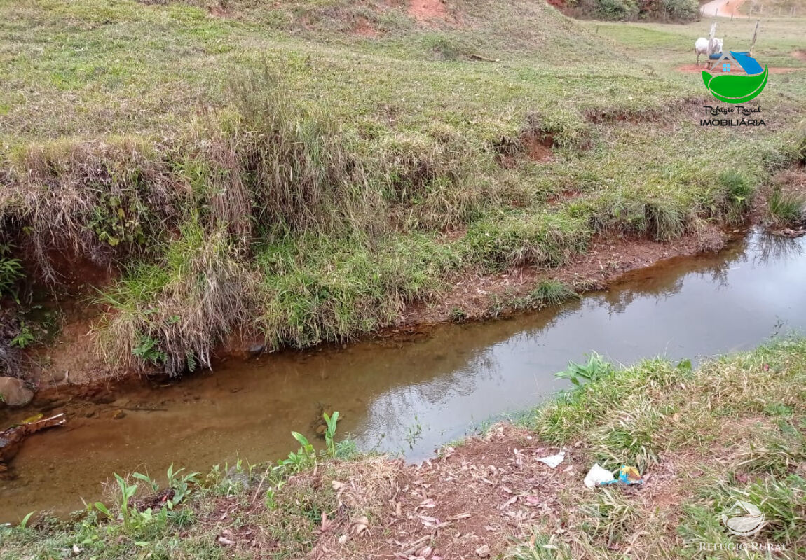 Fazenda à venda com 1 quarto, 2796500m² - Foto 30