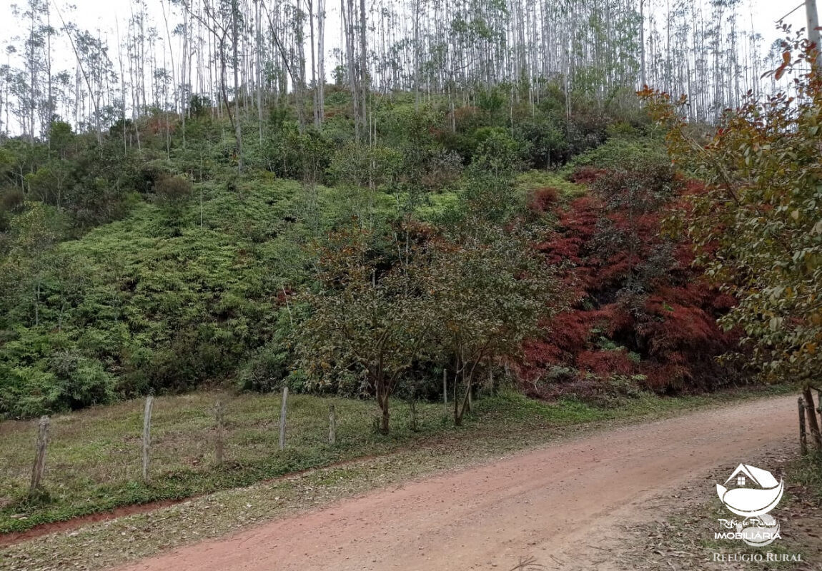 Fazenda à venda com 1 quarto, 2796500m² - Foto 11