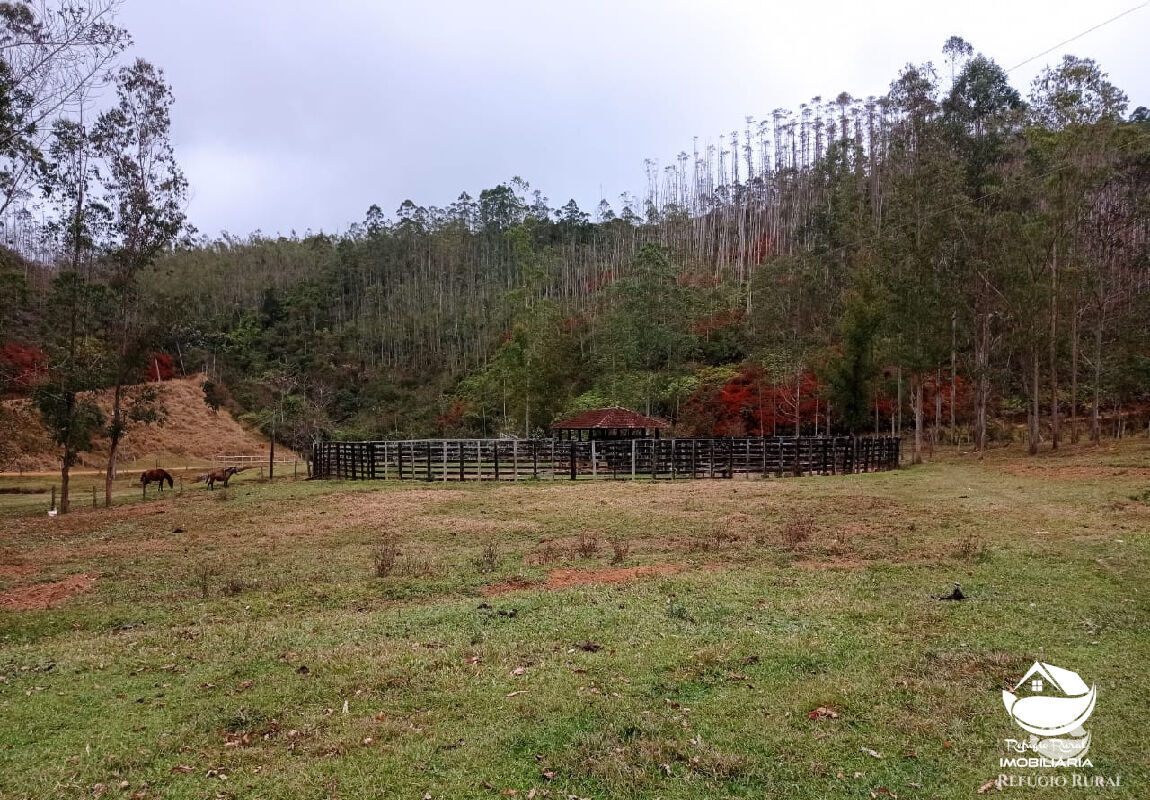 Fazenda à venda com 1 quarto, 2796500m² - Foto 46