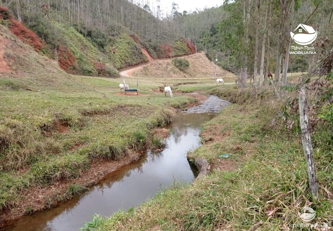 Fazenda à venda com 1 quarto, 2796500m² - Foto 9