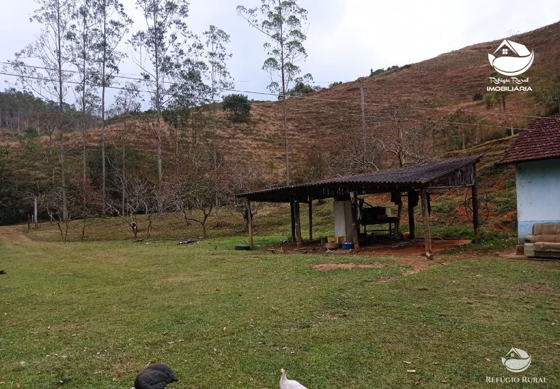 Fazenda à venda com 1 quarto, 2796500m² - Foto 33