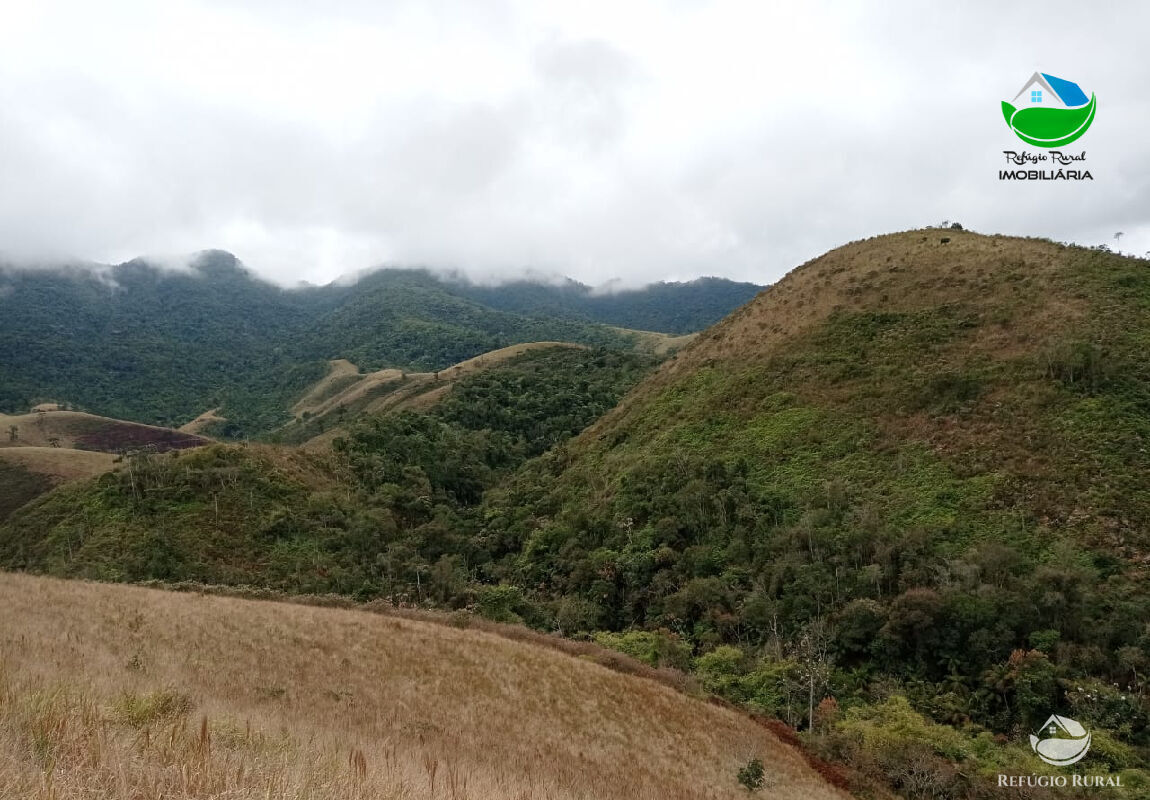 Fazenda à venda com 1 quarto, 2796500m² - Foto 4