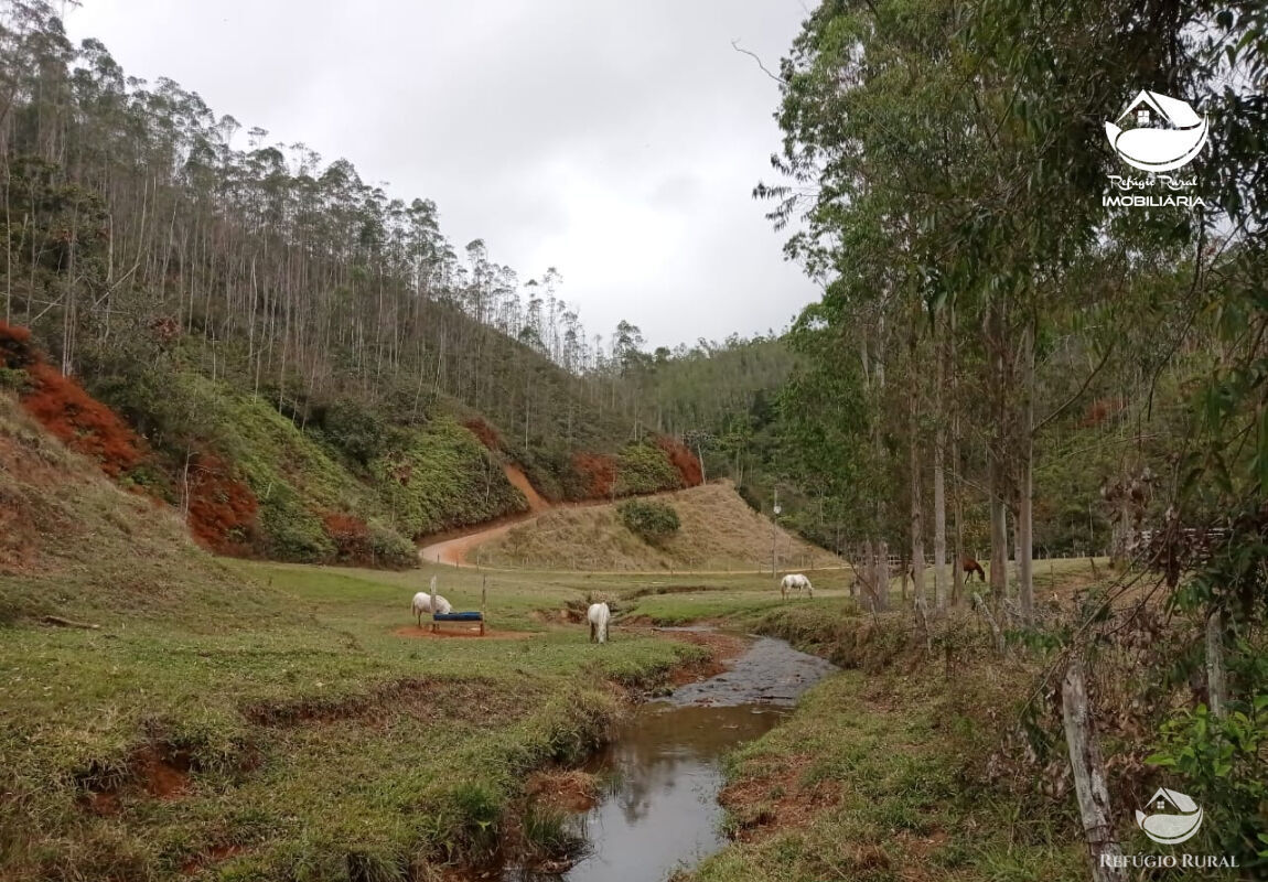 Fazenda à venda com 1 quarto, 2796500m² - Foto 6