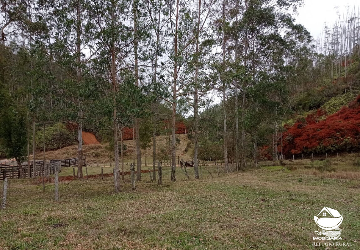 Fazenda à venda com 1 quarto, 2796500m² - Foto 2