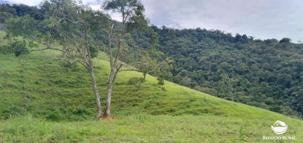 Terreno à venda, 24200m² - Foto 1