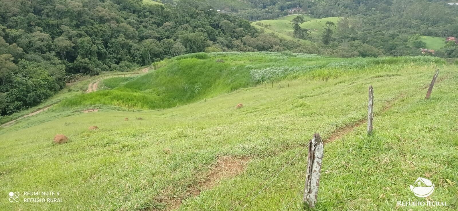 Terreno à venda, 24200m² - Foto 5