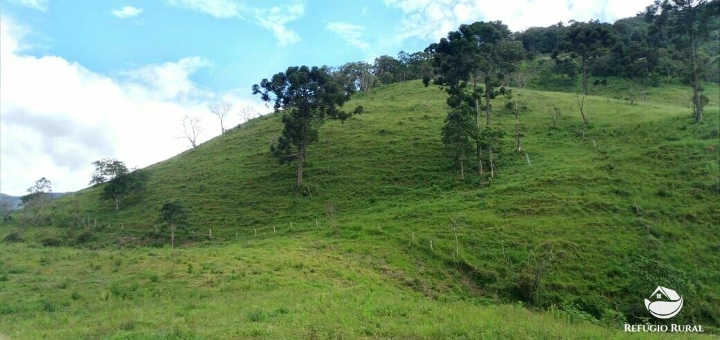 Terreno à venda, 24200m² - Foto 3