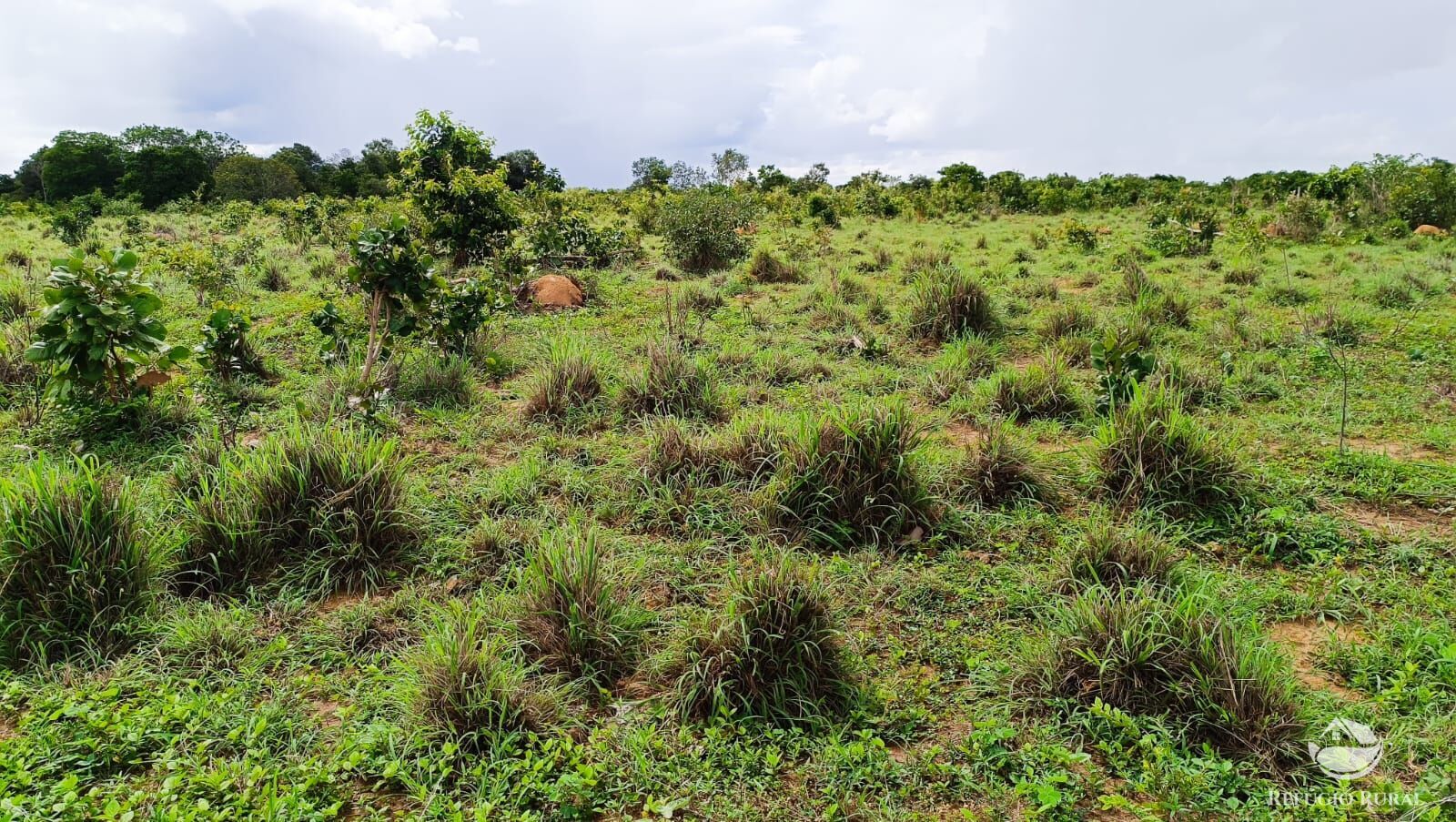 Fazenda à venda com 1 quarto, 7986000m² - Foto 16