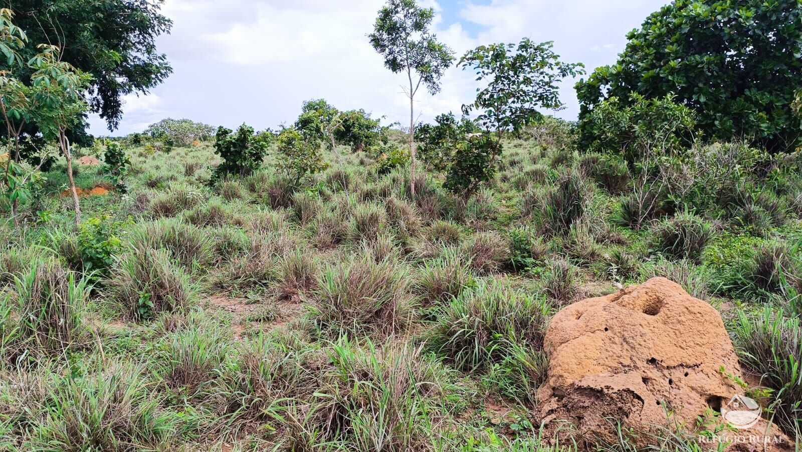 Fazenda à venda com 1 quarto, 7986000m² - Foto 21