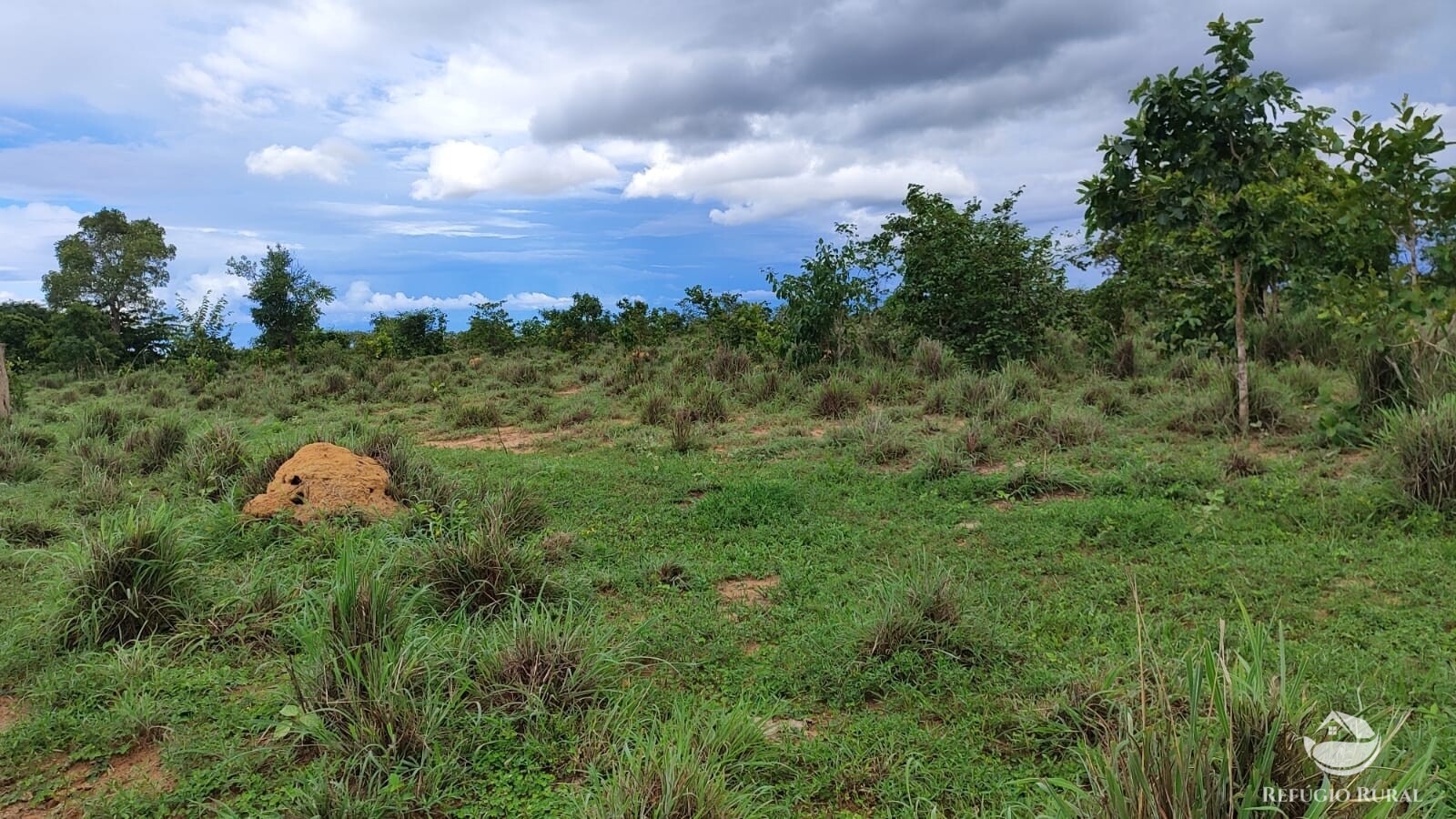 Fazenda à venda com 1 quarto, 7986000m² - Foto 6