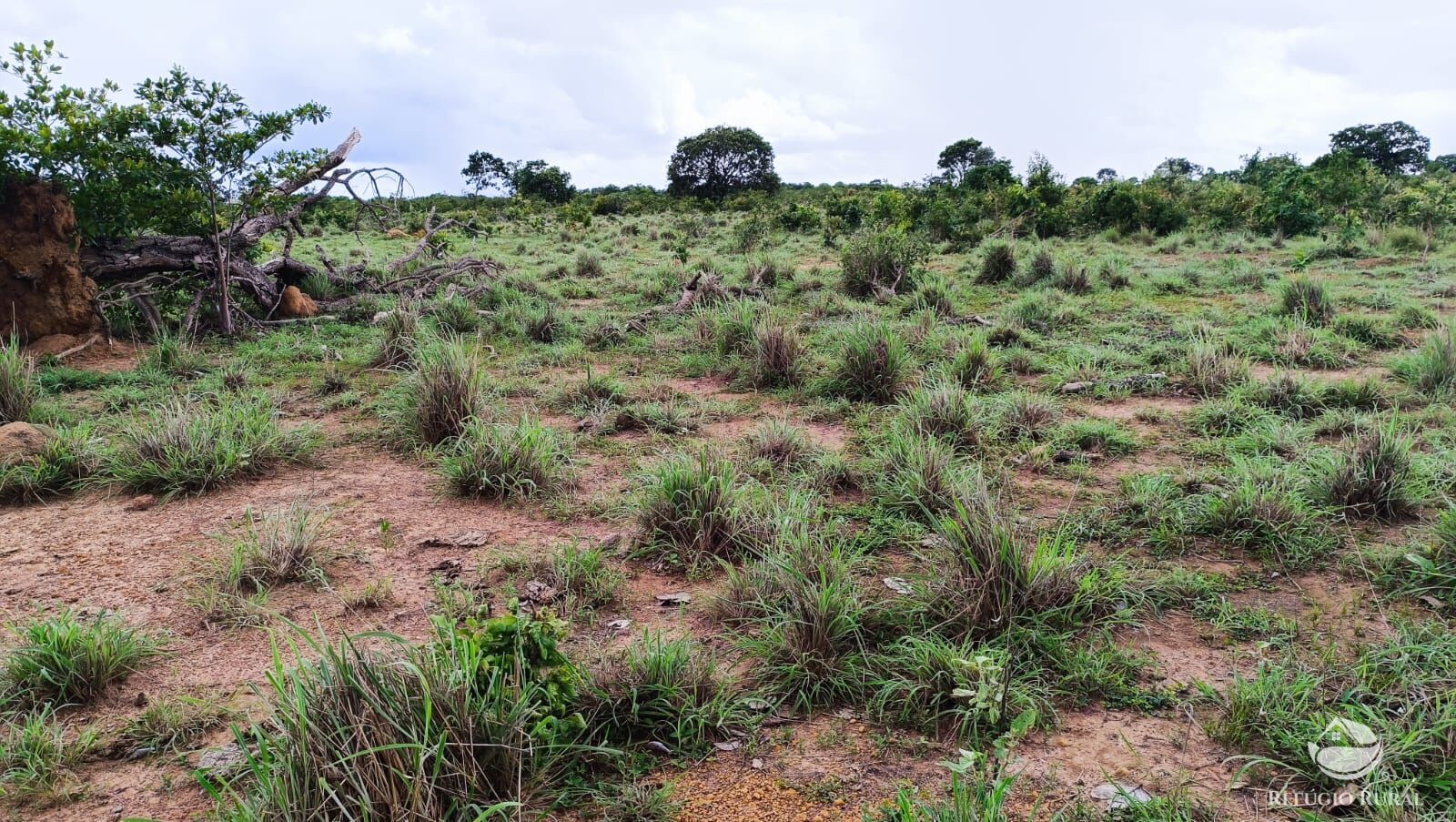 Fazenda à venda com 1 quarto, 7986000m² - Foto 22