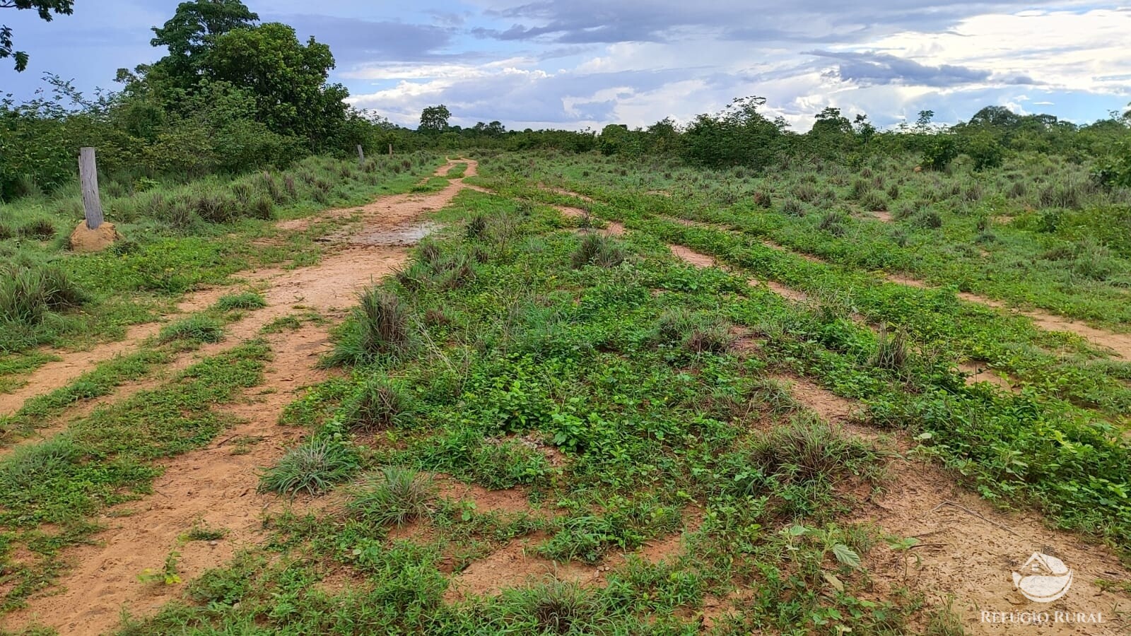 Fazenda à venda com 1 quarto, 7986000m² - Foto 7