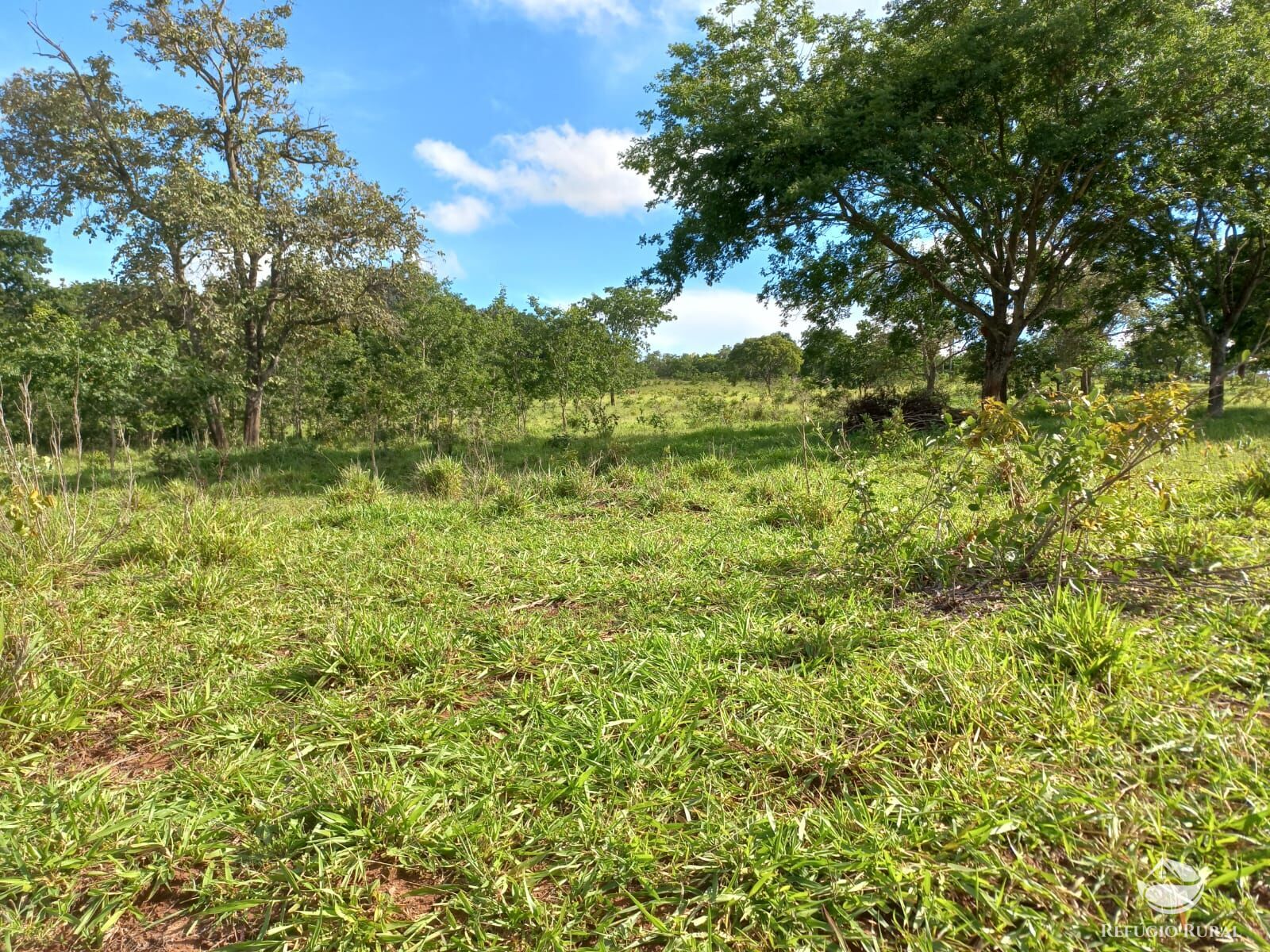 Fazenda à venda com 1 quarto, 1180000m² - Foto 3