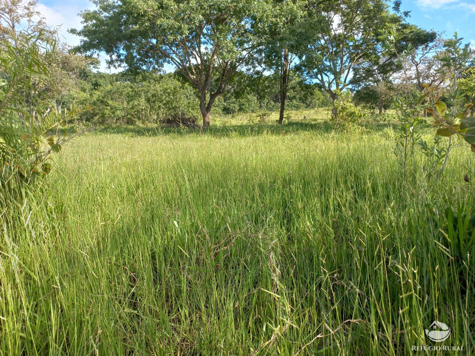 Fazenda à venda com 1 quarto, 1180000m² - Foto 4