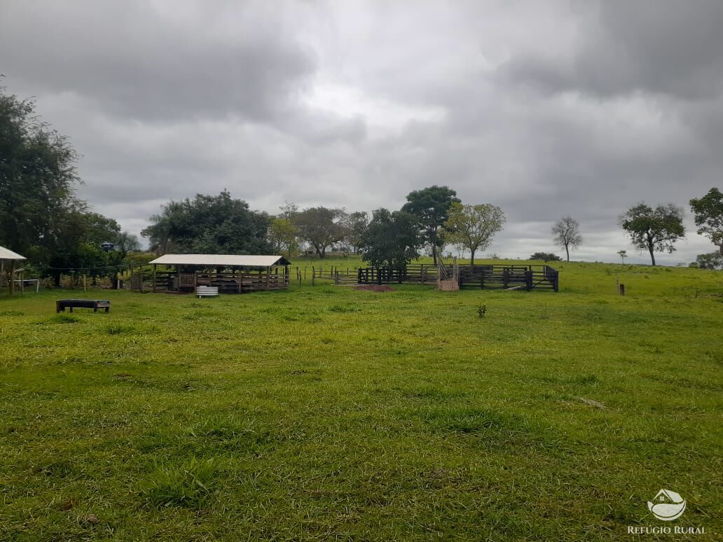 Fazenda à venda com 1 quarto, 1180000m² - Foto 1