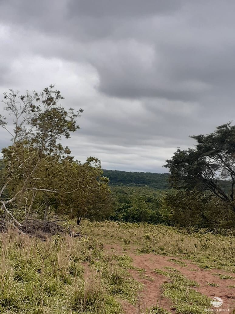 Fazenda à venda com 1 quarto, 1180000m² - Foto 6