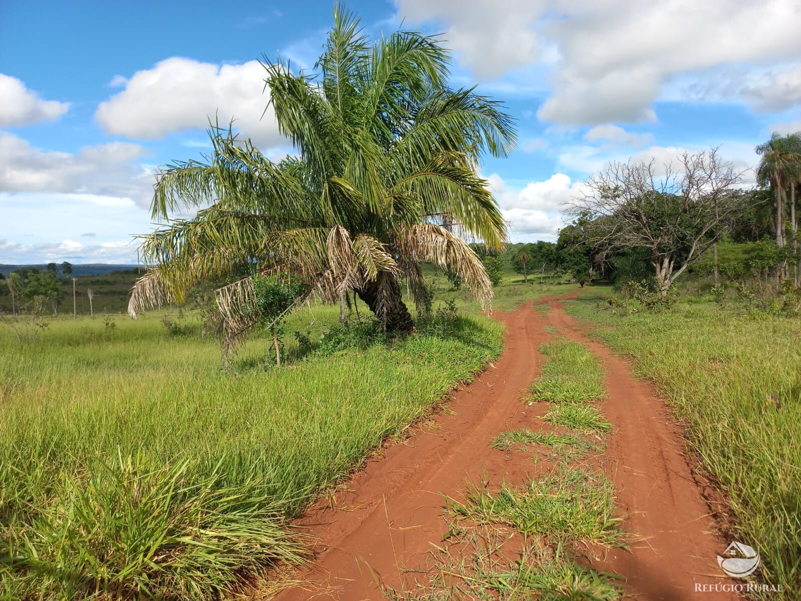 Fazenda à venda com 1 quarto, 1180000m² - Foto 2