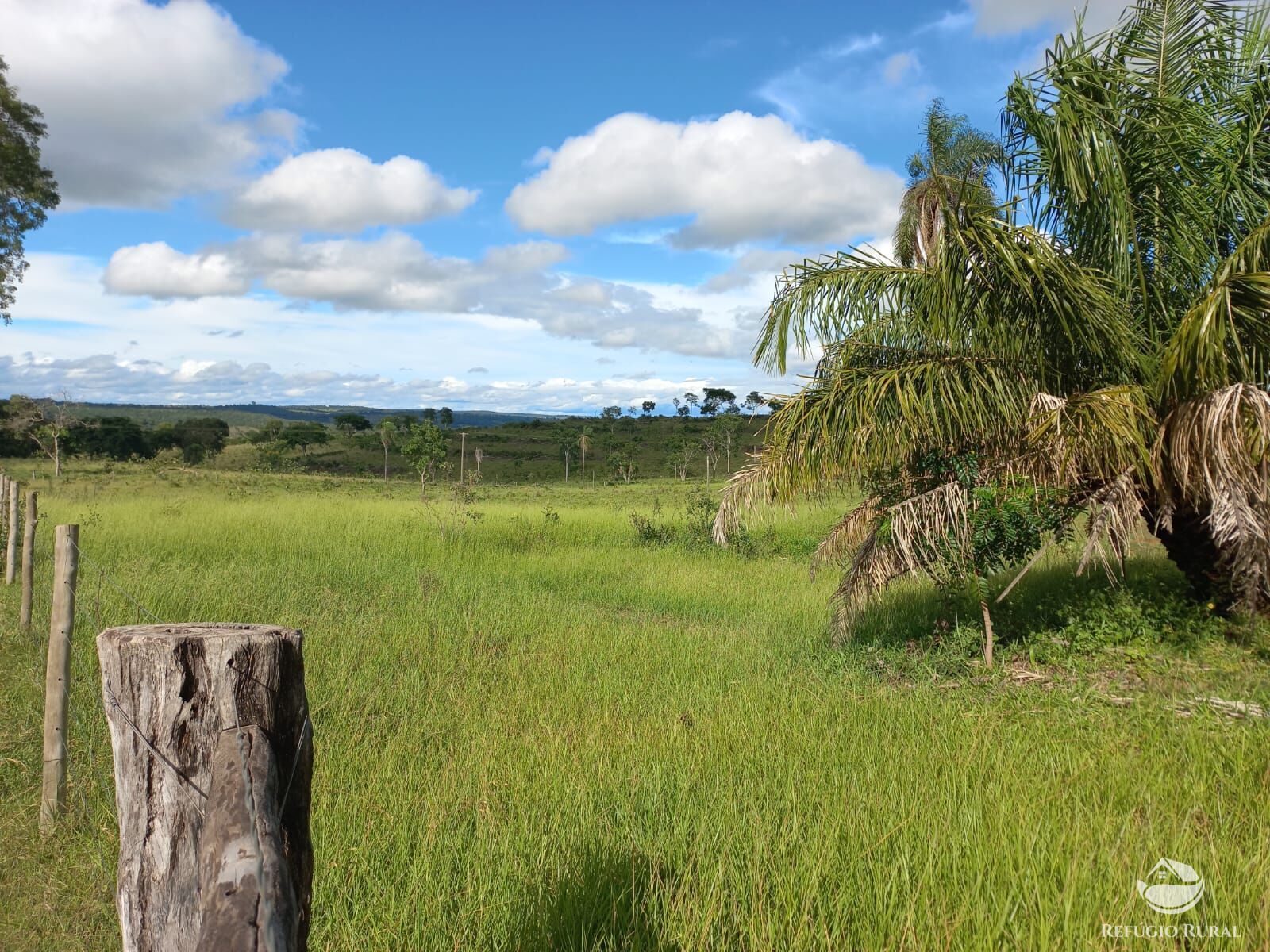 Fazenda à venda com 1 quarto, 1180000m² - Foto 5