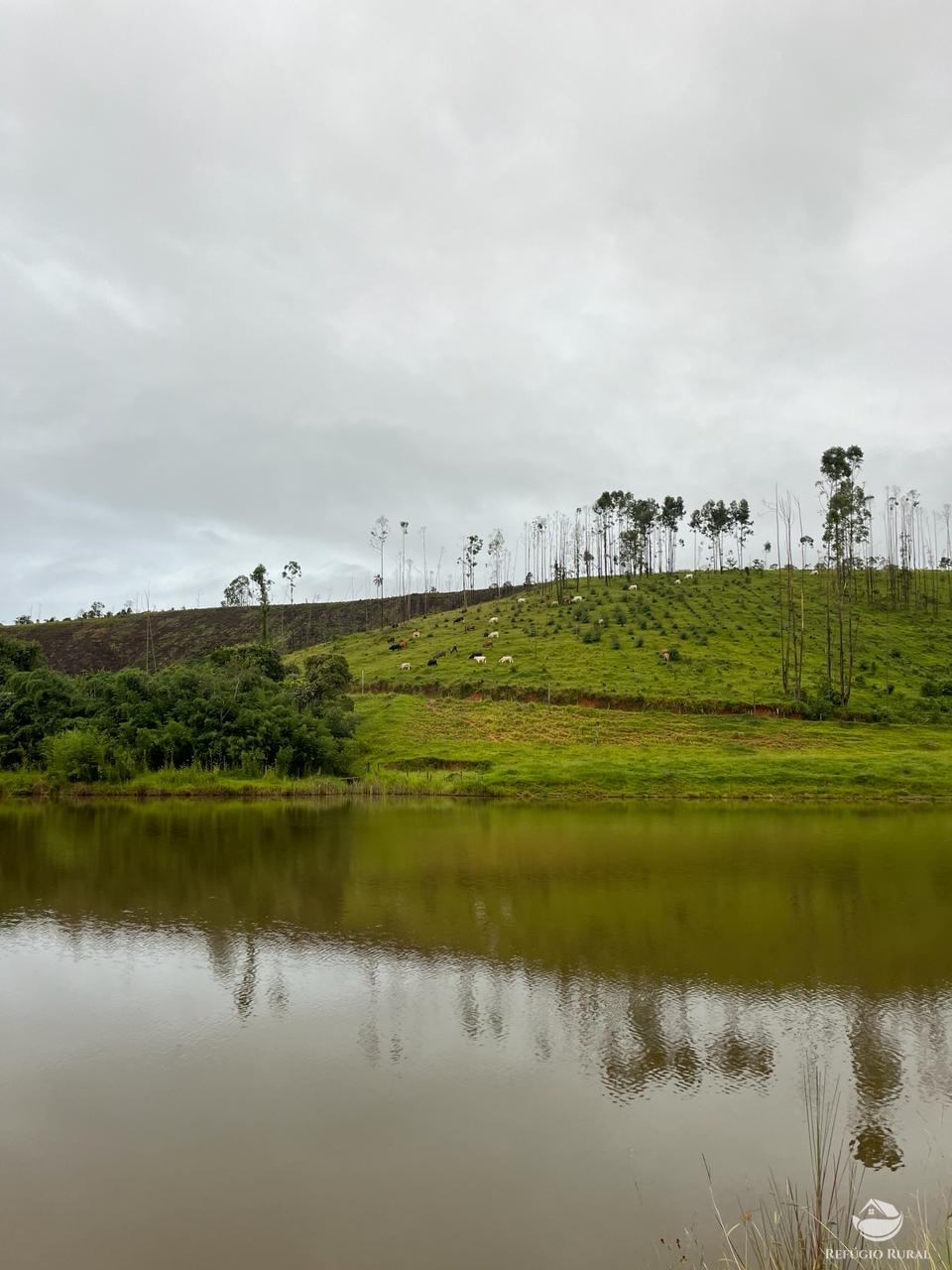 Fazenda à venda com 6 quartos, 1452000m² - Foto 22