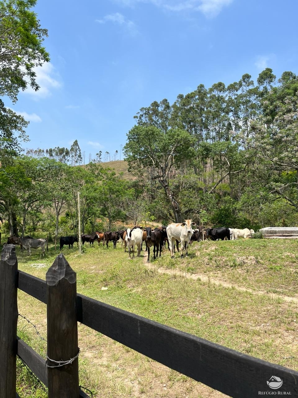 Fazenda à venda com 6 quartos, 1452000m² - Foto 10