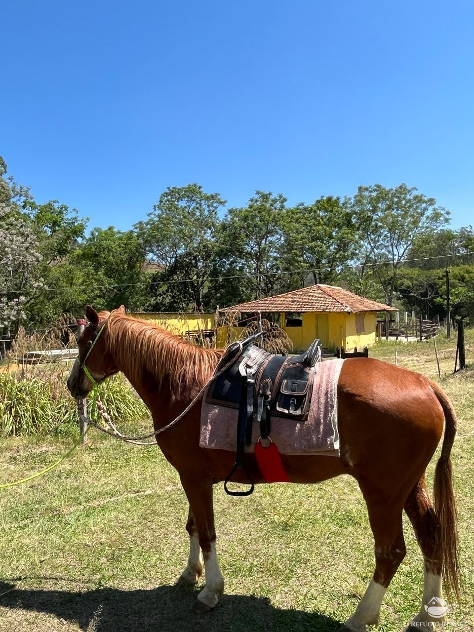 Fazenda à venda com 6 quartos, 1452000m² - Foto 12