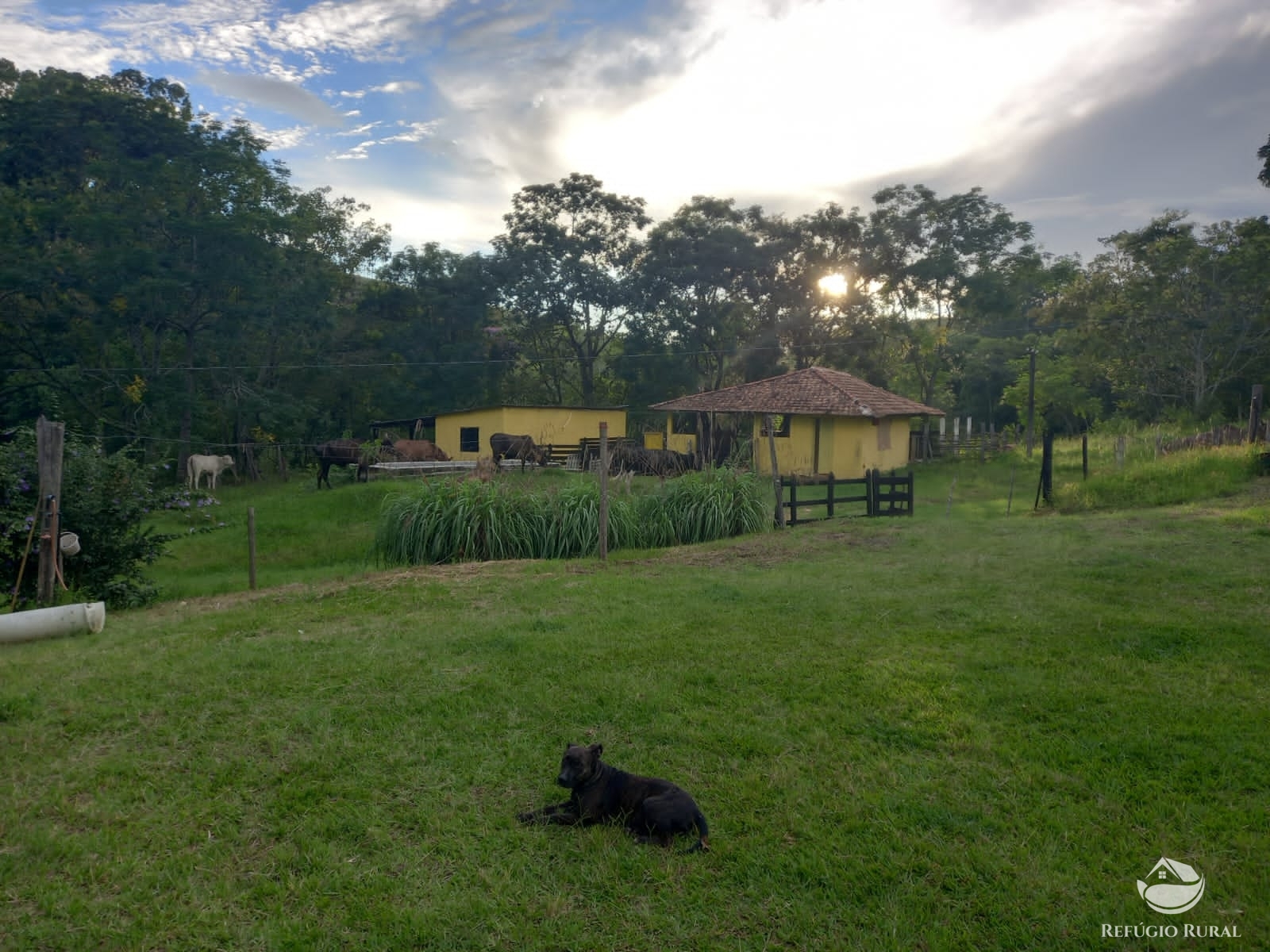 Fazenda à venda com 6 quartos, 1452000m² - Foto 24