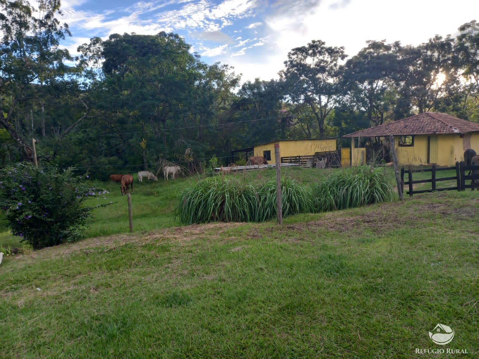 Fazenda à venda com 6 quartos, 1452000m² - Foto 17