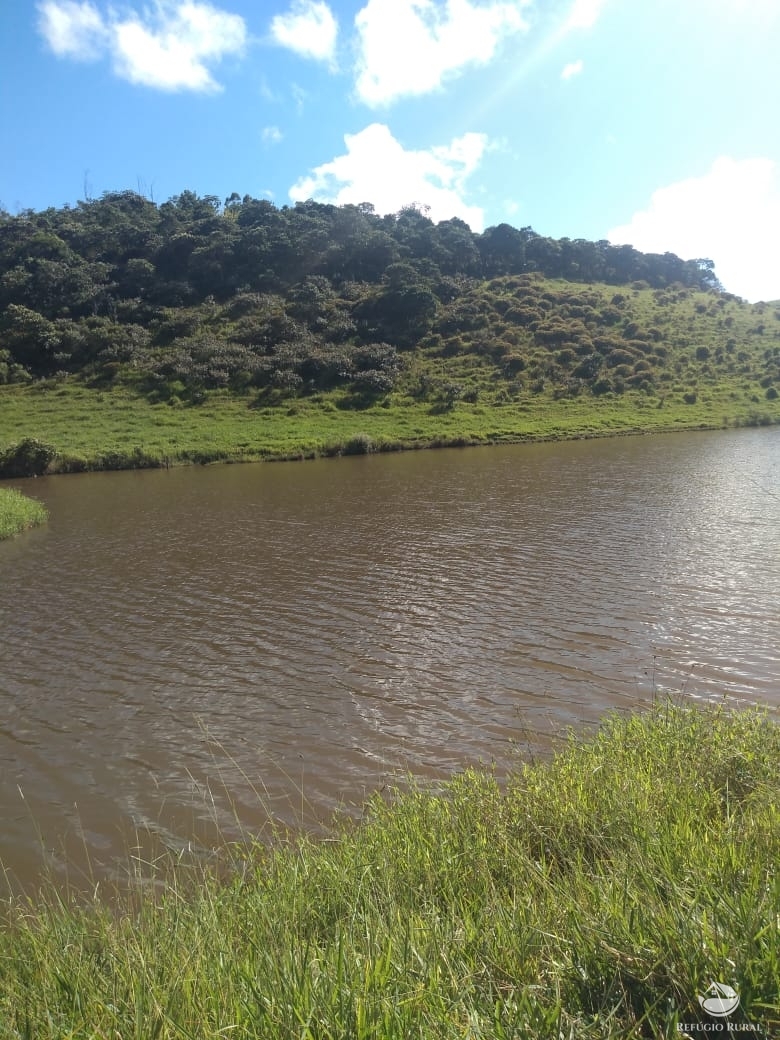 Fazenda à venda com 6 quartos, 1452000m² - Foto 5