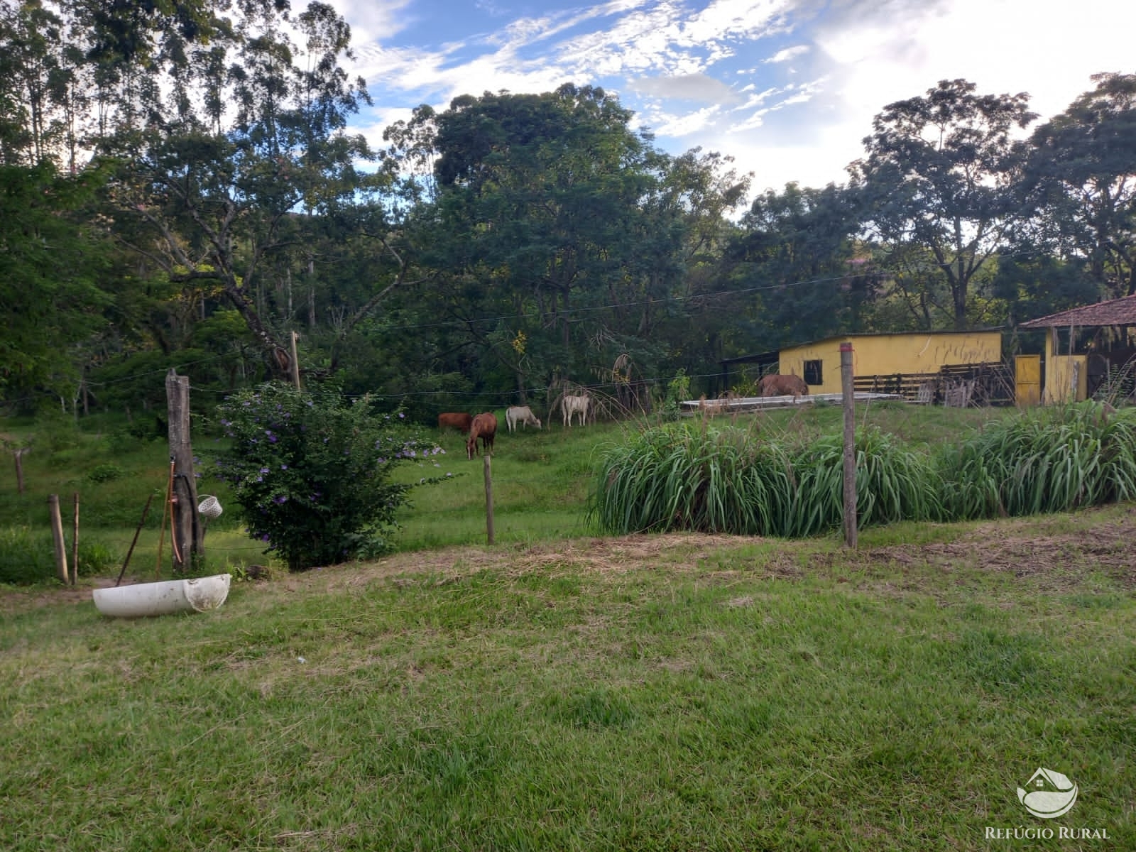 Fazenda à venda com 6 quartos, 1452000m² - Foto 18