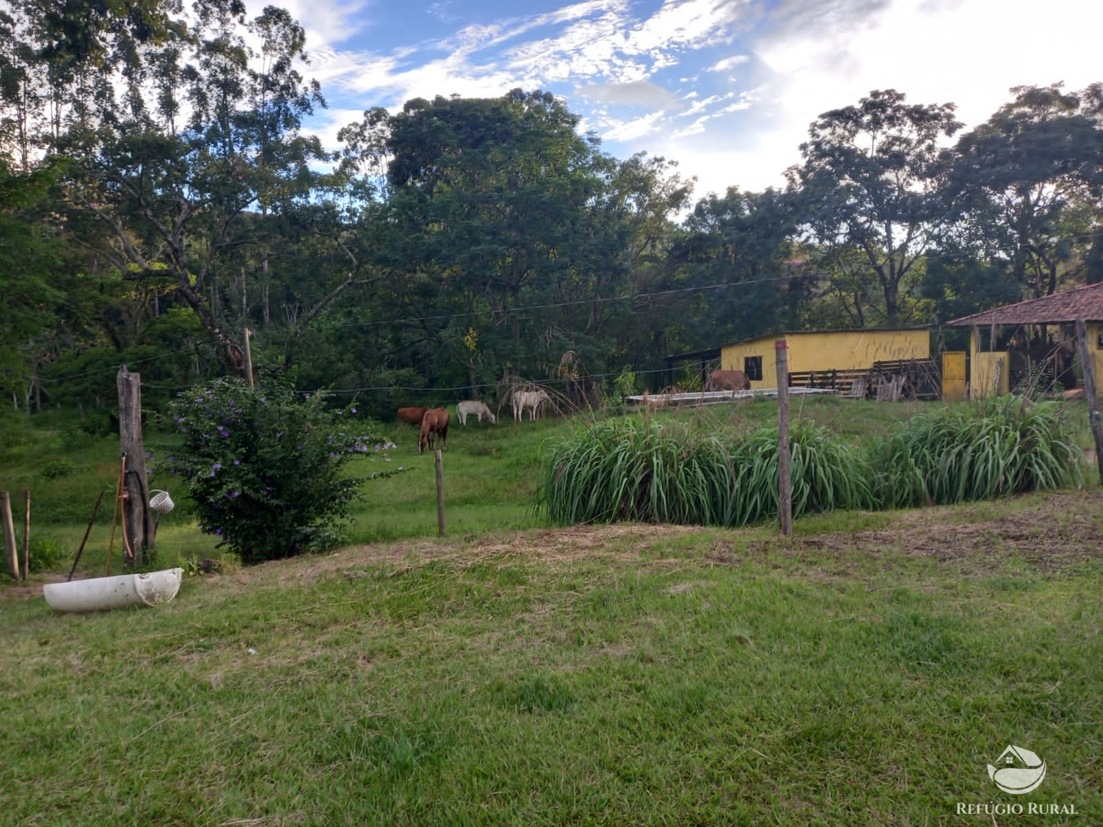 Fazenda à venda com 6 quartos, 1452000m² - Foto 16